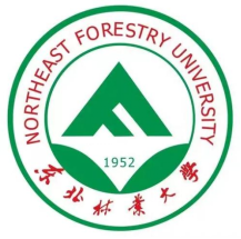 蓝鲸体育安全通道图片
