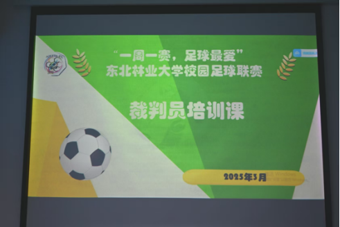 蓝鲸体育官方指定端图片